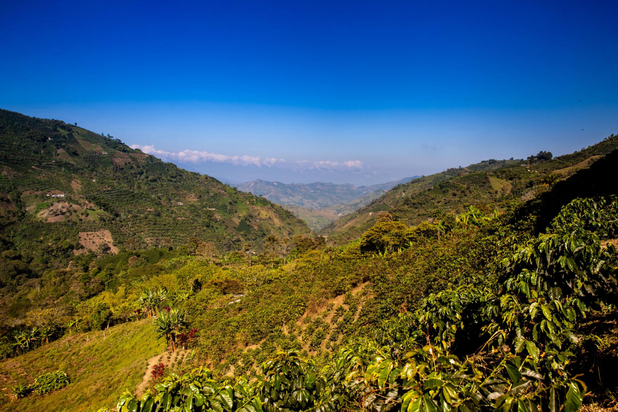 colombia